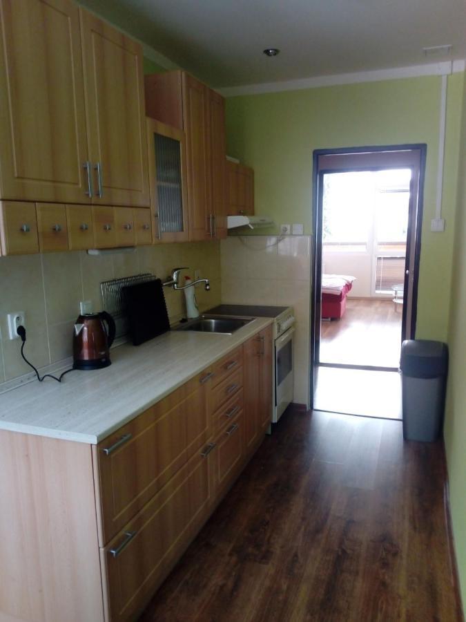 Apartmán Špičák Jiretin pod Bukovou Esterno foto